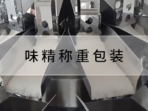 味精稱(chēng)重包裝系統(tǒng)（配給袋包裝機(jī)）