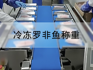 冷凍羅非魚(yú)稱(chēng)重人工入袋