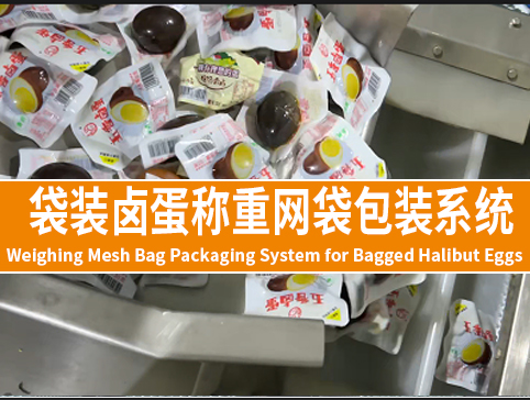 袋裝鹵蛋稱重網(wǎng)袋包裝系統(tǒng)